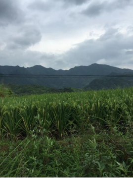 1743476597197591.png image.png