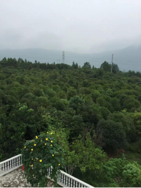 1743476642764149.png image.png